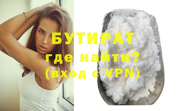 хмурый Пересвет
