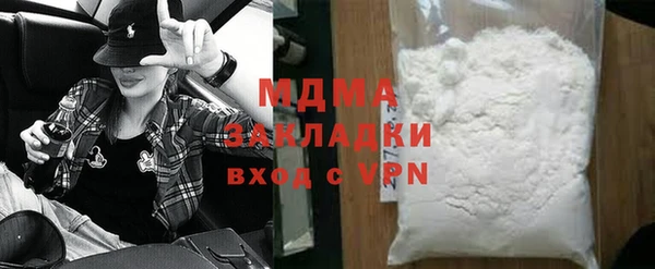 хмурый Пересвет