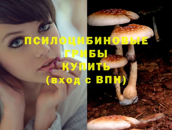таблы Богородицк
