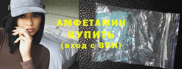 хмурый Пересвет