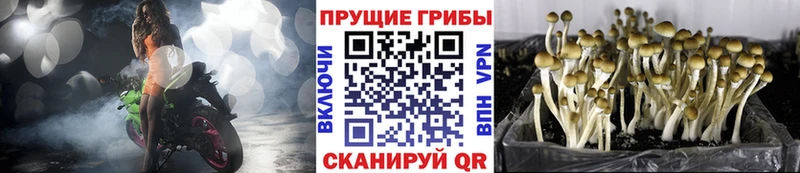 blacksprut маркетплейс  Отрадный  Галлюциногенные грибы ЛСД 